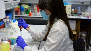 Una farmacéutica bonaerense fabrica repelente para mosquitos que es "mejor que el Off 