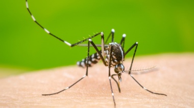Alcanzan a casi 67 mil los casos de dengue en la provincia y hay brotes en 54 distritos