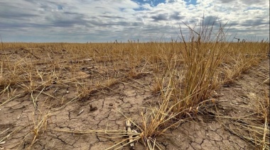Declaran la emergencia agropecuaria en distritos del sur de la provincia
