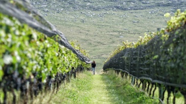 Paisajes serranos y vinos con identidad en una escapada única de fin de semana