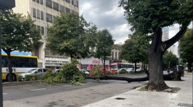 Temporal en el AMBA: usuarios sin luz, voladuras de techos y árboles caídos