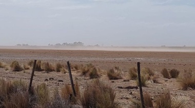 Declararon la emergencia agropecuaria en distritos del sudoeste bonaerense