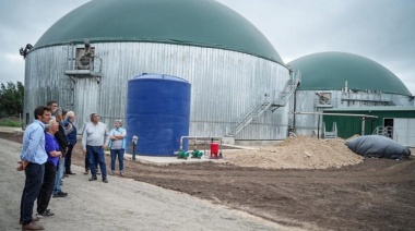 Brandsen: con el estiércol generan energía y fertilizan  cultivos