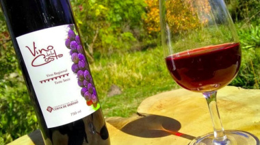 La Fiesta del Vino de la Costa 2025 llega a Berisso con tres días de festejos