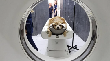 La Facultad de Veterinarias de la UNLP incorporó un tomógrafo de alta complejidad