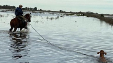 Reclamo urgente por la paralización del tramo crítico del Salado entre Ernestina y la RN205