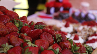 Meridiano V será sede de la primera Fiesta de la Frutilla en La Plata