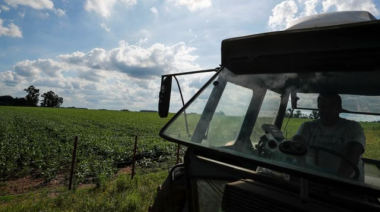 Advierten que dos municipios bonaerenses superan el tope legal de tierras en manos extranjeras