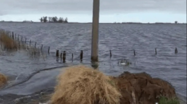 El Gobierno nacional extiende la emergencia agropecuaria en 18 distritos bonaerenses