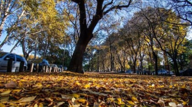 Pronostican un otoño caluroso y con lluvias normales en distritos bonaerenses