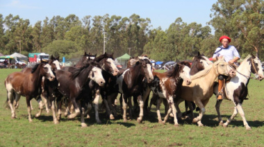 La provincia se llena de carnavales y fiestas este fin de semana
