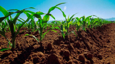 Luego de tres décadas, regresa la expo Magdalena Produce