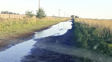 La Justicia ordenó devolver cobros por tasa vial en Daireaux y fijó un precedente