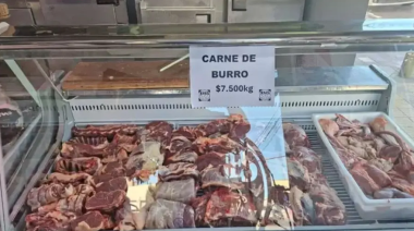 Burro vs. vaca, ventajas y desventajas de cada carne