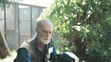 Lanzan una formación gratuita para "Paseadores Caninos de la Comunidad"