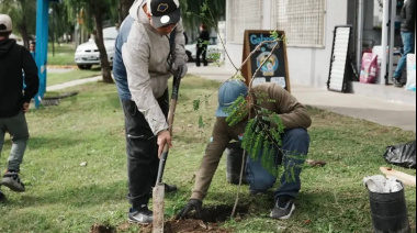 Forestar en Comunidad: el plan ambiental para plantar árboles nativos gratis en veredas de Lomas