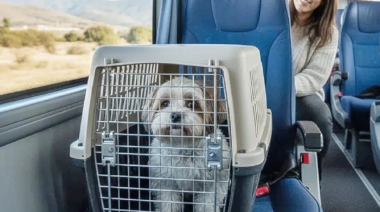 Cómo viajar en tren con mascotas