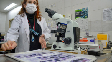 Profesionales de hospitales bonaerenses podrán ser investigadores asociados de la CIC