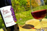 La Fiesta del Vino de la Costa 2025 llega a Berisso con tres días de festejos