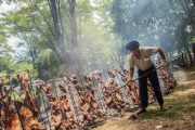 Gastronomía alemana, pesca de pejerreyes y fiestas típicas bonaerenses