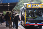 Provincia de Buenos Aires anuncia transporte gratuito en jornadas electorales