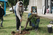 Forestar en Comunidad: el plan ambiental para plantar árboles nativos gratis en veredas de Lomas