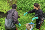 Lomas intensifica los trabajos de limpieza en canales como prevención ante El Niño